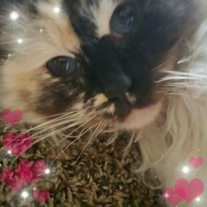 Meet your Posher, Jodi